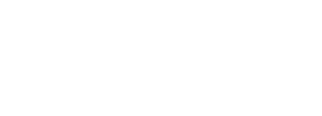 STYLE Logo wit